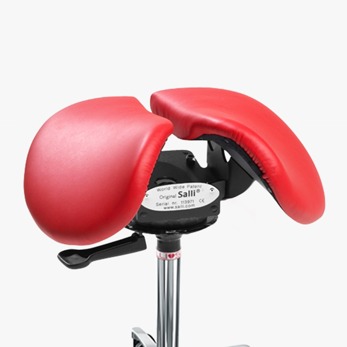 Salli Swing